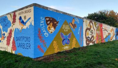 University students paint wildlife mural at Turbary Common