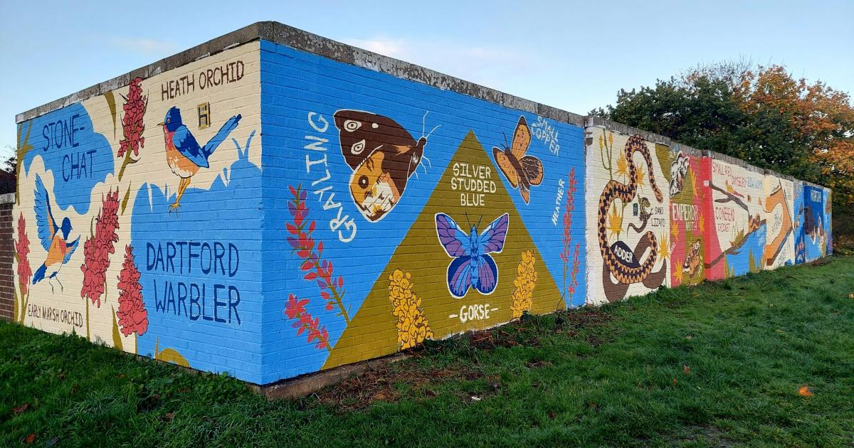 University students paint wildlife mural at Turbary Common