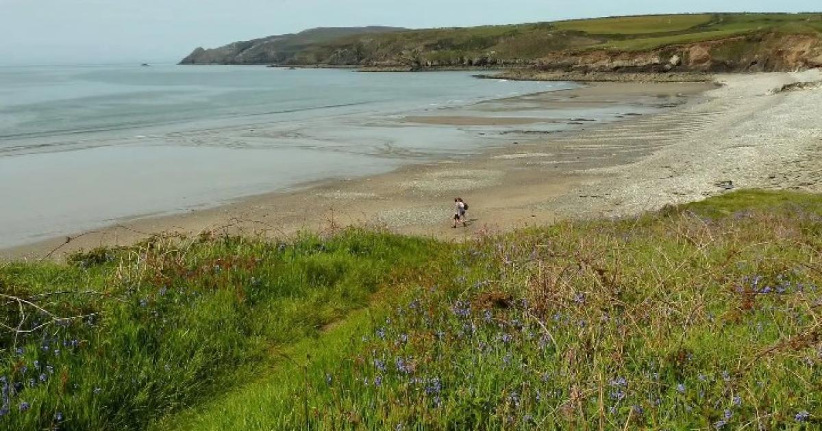 Abermawr: The bay popular with seals and wildlife watchers