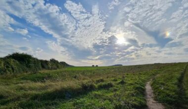 Basingstoke green space Old Down could become nature reserve