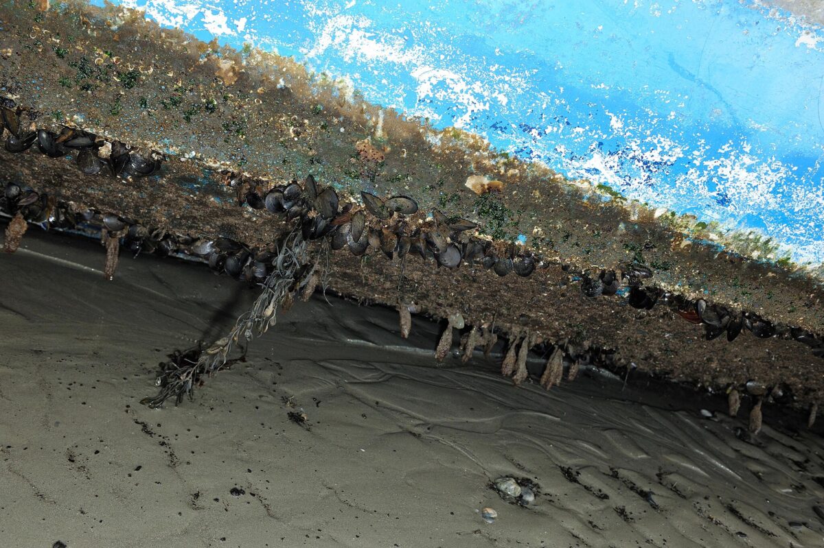 Edinburgh startup secures £800,000 for ship scrubbing robots  