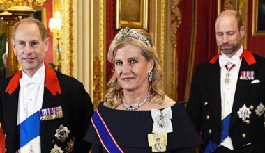 Duchess Sophie struts in glittering platforms and £1m tiara at state banquet