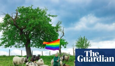 Just not that into ewes: ‘gay sheep’ escape slaughter and take over a New York catwalk | Fashion