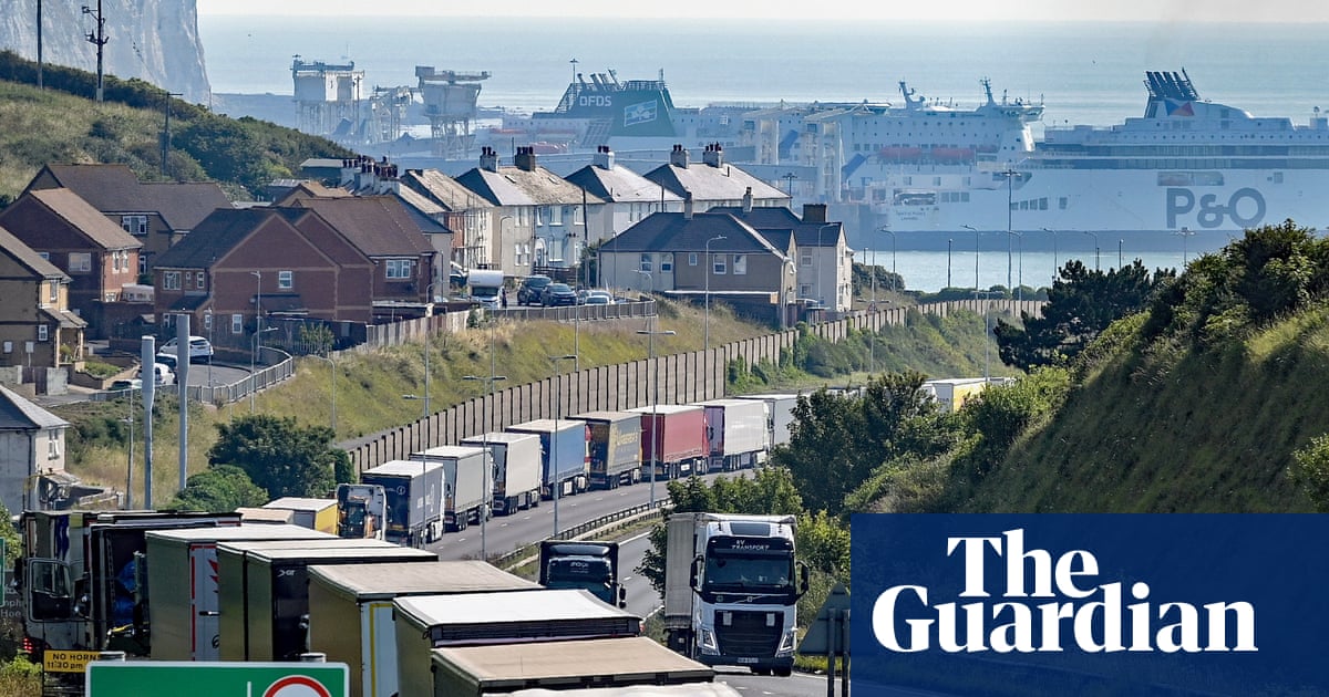 Britain’s economy has been damaged by Brexit. But what should ministers do about it? | Trade policy