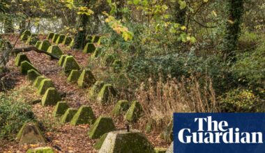 Dragon’s teeth and elf garden among 2025 additions to English heritage list | Heritage