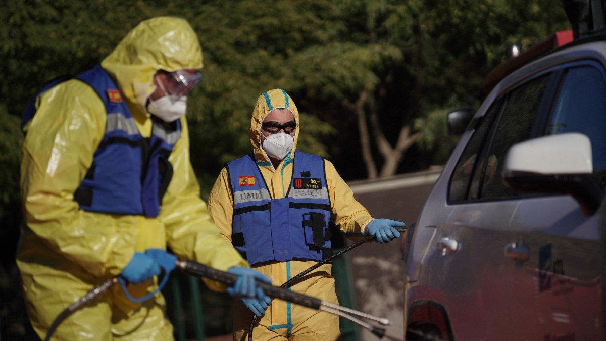 Laboratory leak may have caused swine flu outbreak in Spain