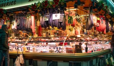 Spain investigates origin of swine virus affecting pork exports – The Irish Times