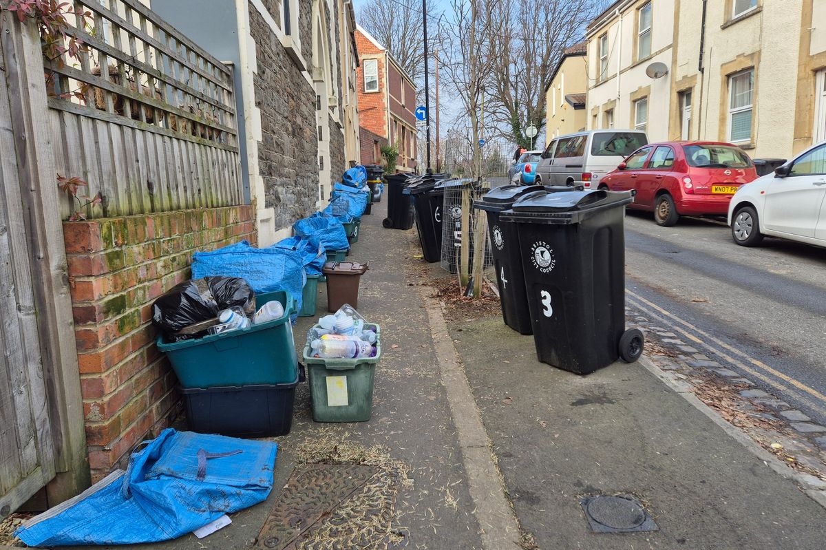 Black bins and recycling containers on a pavement in Bedminster