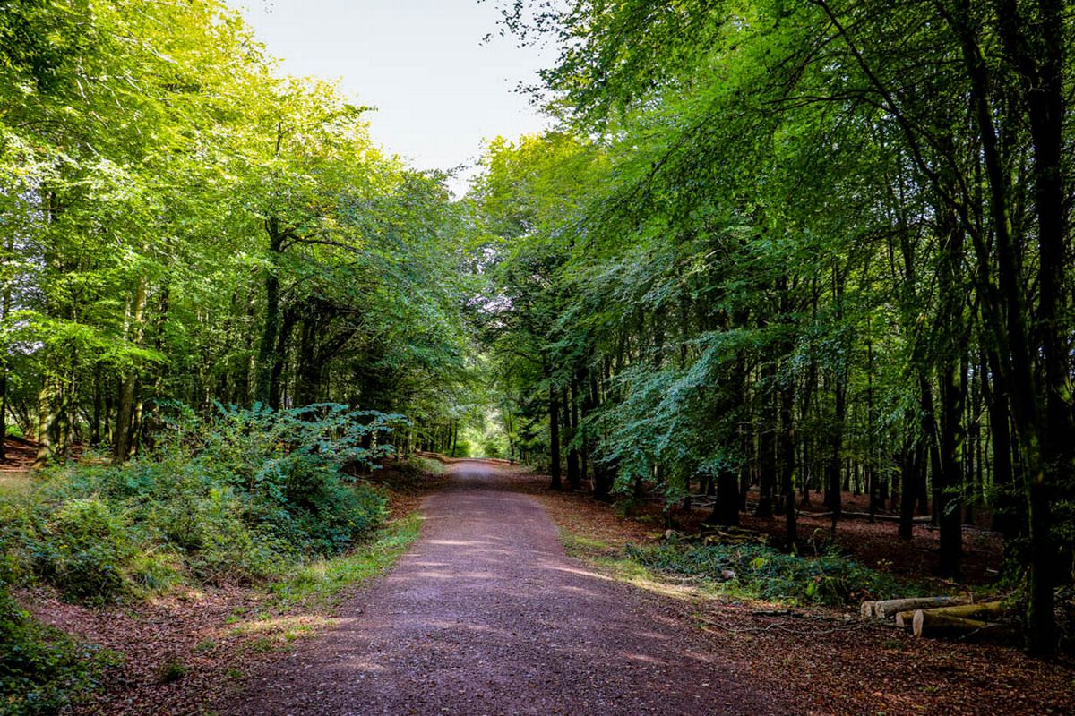 The Taff Trail is an incredibly popular biking and walking route that runs 55 miles from Cardiff,