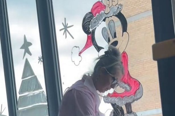 The TikTok post about Vicki which has gone viral 