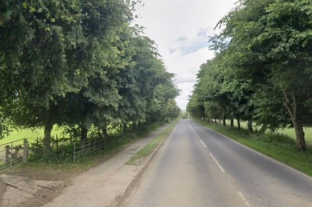 A road with a path and trees either side