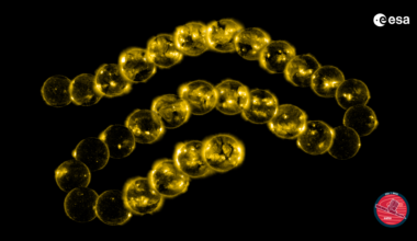 30 years of SOHO imaging the Sun (unannotated)