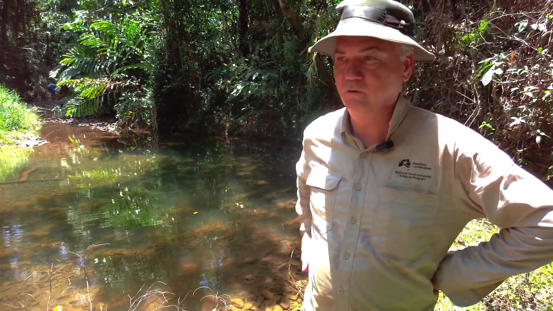 <p>Mark Kennard fears the Bloomfield Cod will be extinct within 10 to 20 years.</p>