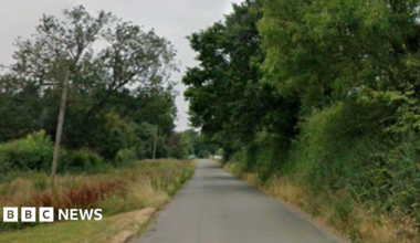 A country road, lined with trees on one side and long grass on the other side.