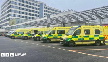 A row of ambulances are parked outside a hospital