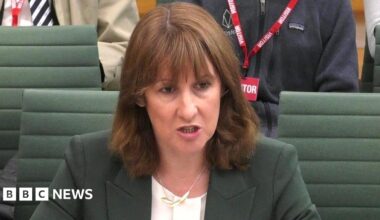 Rachel Reeves giving evidence to the Treasury select committee. She wears a sage green jacket, a white top and a silver necklace with three silver leaves.