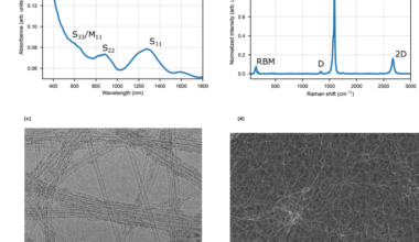 Ultrathin Single-Walled Carbon Nanotube Surface Wave Absorbers for Terahertz Dielectric Waveguides