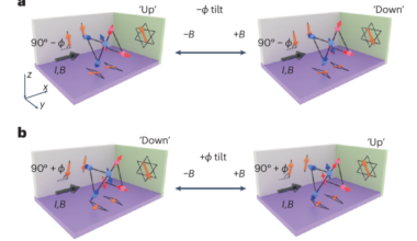 Speeding up antiferromagnetic switching | Nature Materials