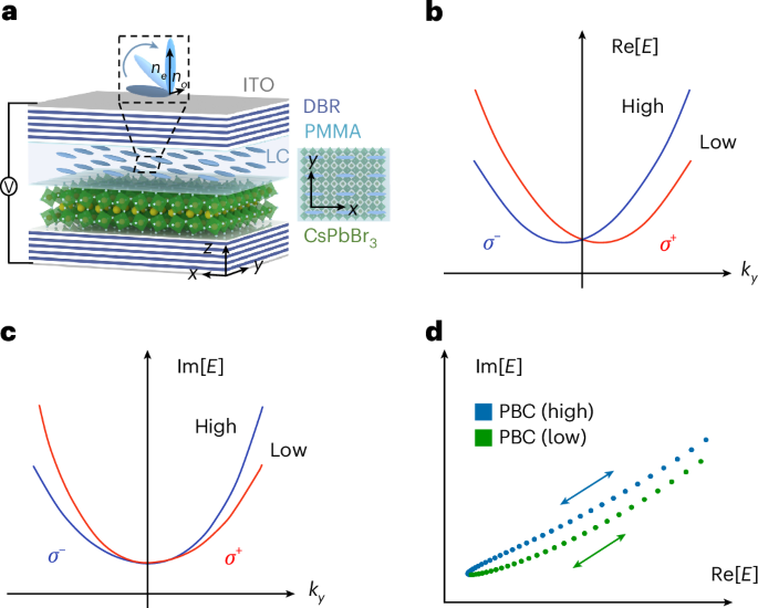 Twist-induced non-Hermitian topology of exciton–polaritons