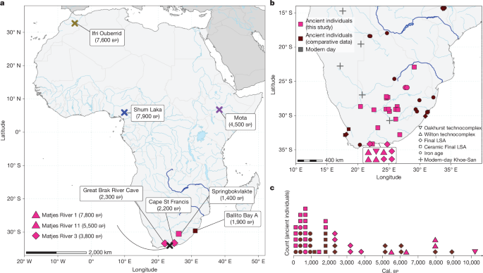 Homo sapiens-specific evolution unveiled by ancient southern African genomes
