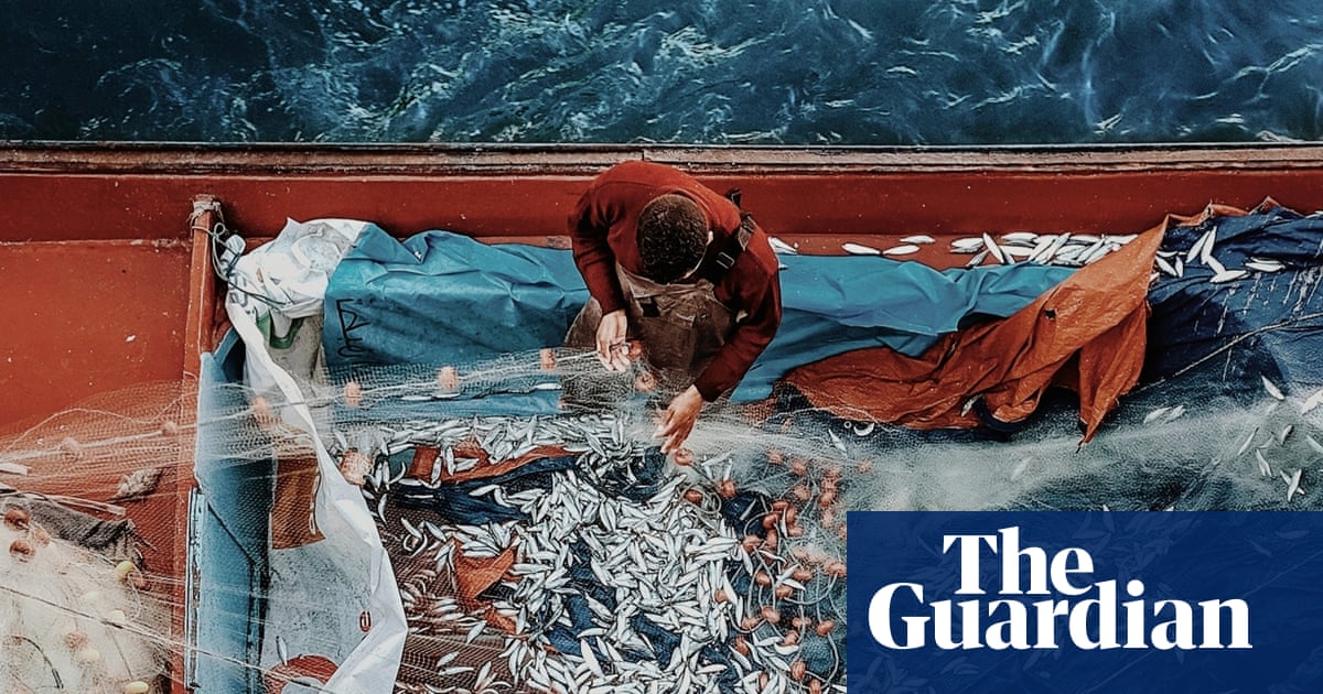 ‘I climbed a building to get this shot’: Ahmad Mansour’s best phone picture | Photography