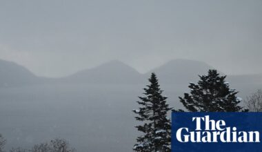 Boy, 5, died after arm trapped in ski resort travelator in Japan | Japan