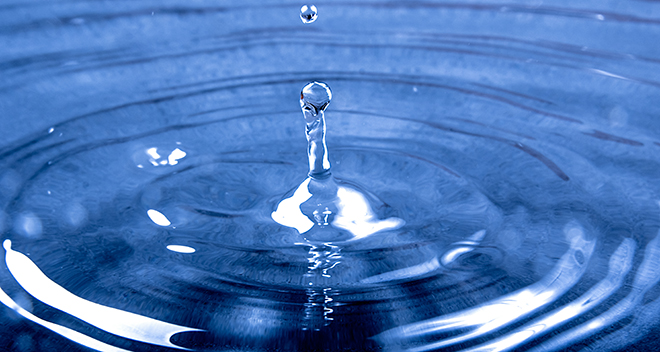 Prince William Living