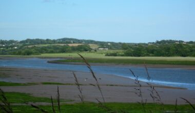 Councillors to debate condition of poorest-performing protected river in Wales