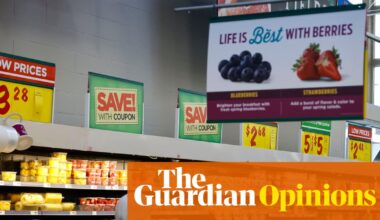 Why haven’t Trump’s tariffs crashed the US economy? | Jeffrey Frankel