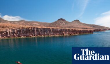 ‘I never imagined we could buy an island’: how a community saved Mexico’s Galápagos | Endangered habitats