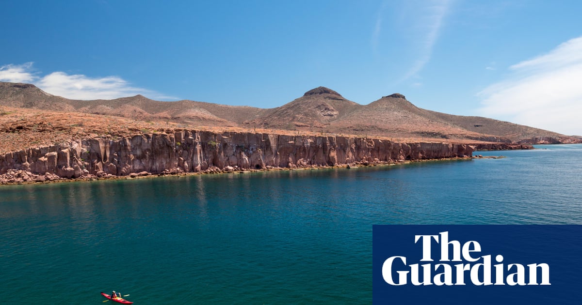 ‘I never imagined we could buy an island’: how a community saved Mexico’s Galápagos | Endangered habitats