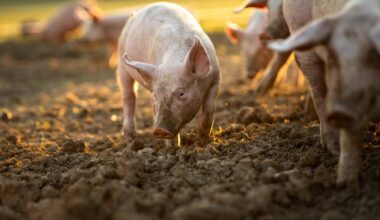 Darlington and Stockton Times