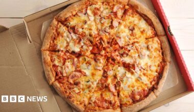 A cheese and ham pizza in a pizza box