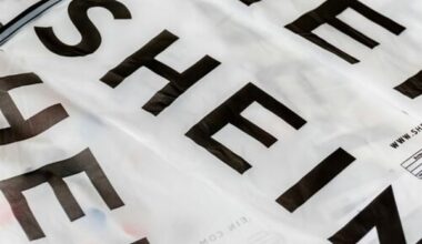 Shein avoids suspension by French court