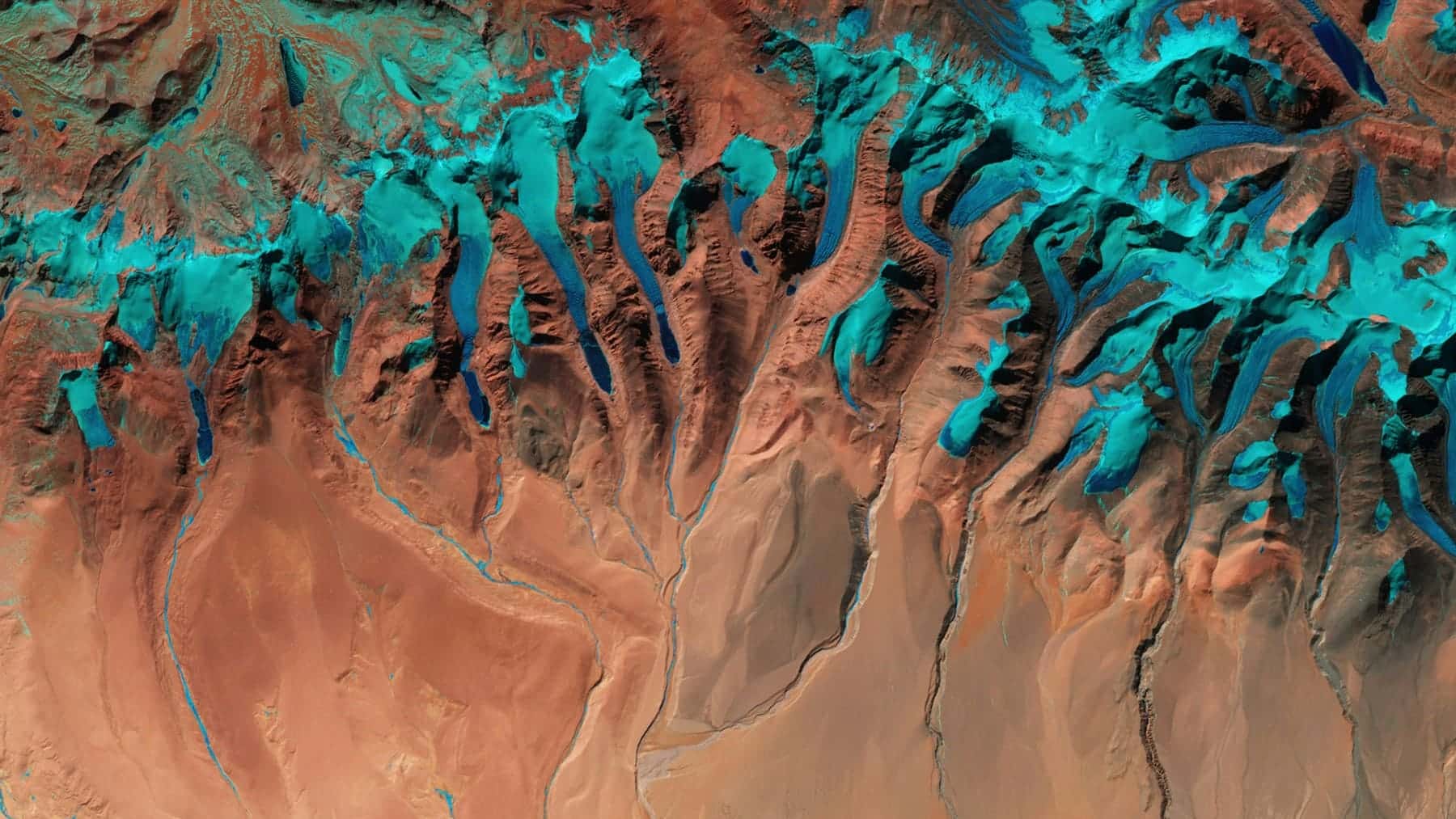 Massive plant harnesses sun in China