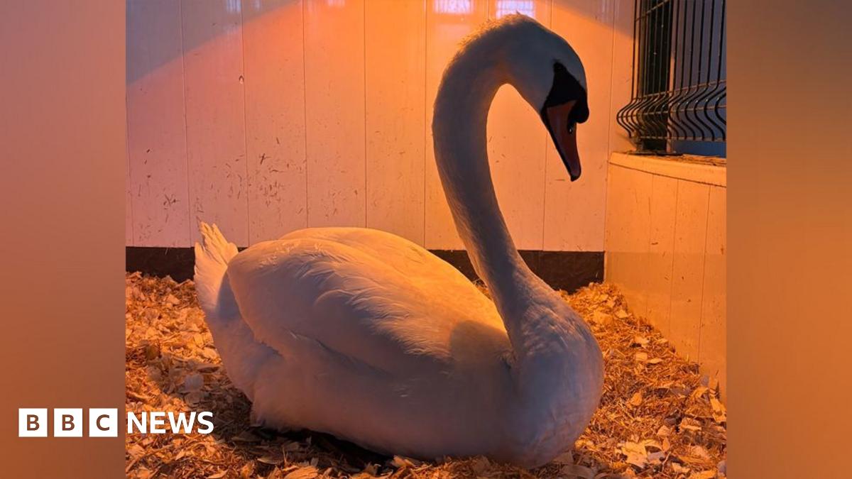 A young man with dark curly brown hair standing by the side of a road. He is wearing a black t-shirt and behind him are yellow crops and blue skies.