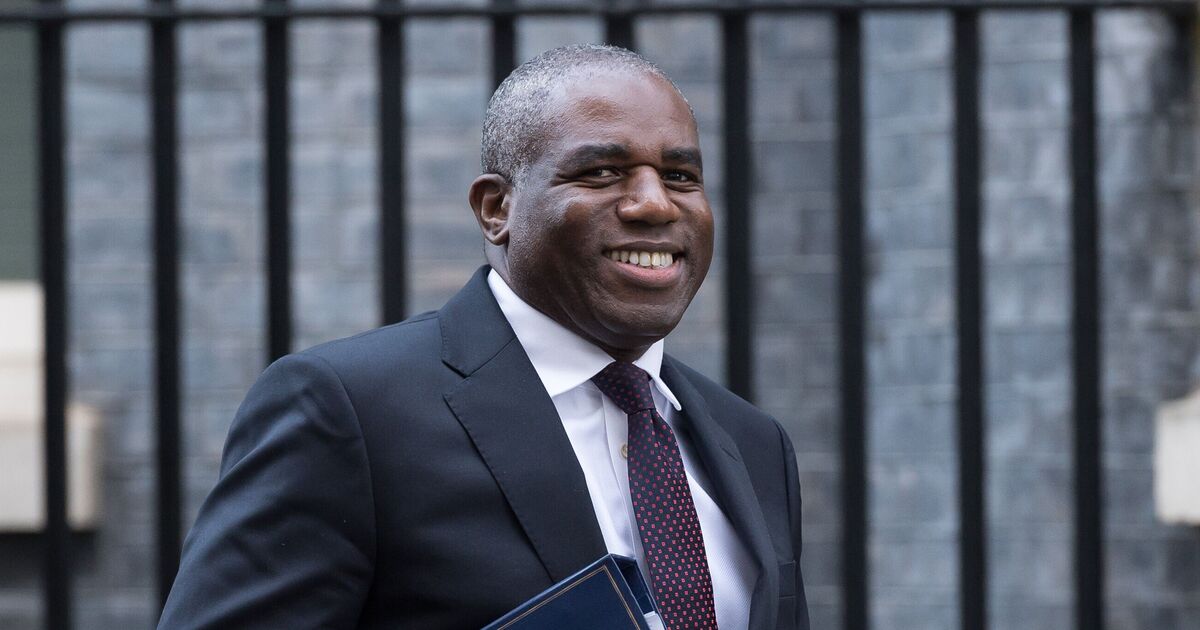 David Lammy breaks ranks with support for EU customs union | UK | News