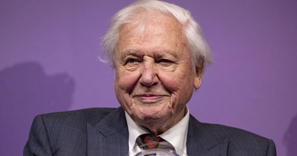 David Attenborough's health decision has helped 'long life' | Celebrity News | Showbiz & TV