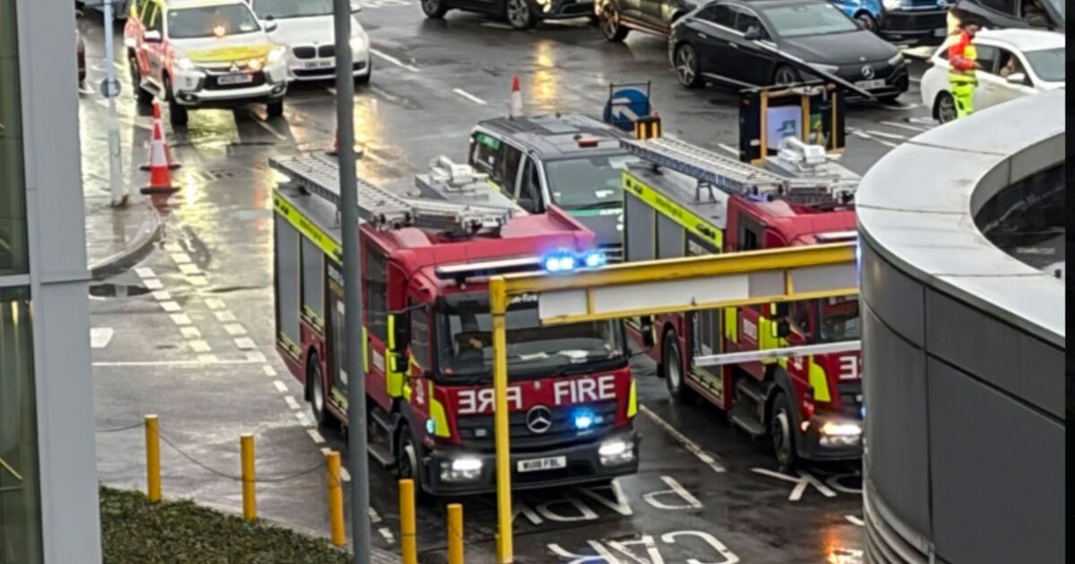 Heathrow Airport LIVE: 'Pepper spray attack' leaves 21 injured as police issue update | UK | News