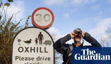 ‘It moved … it was hopping!’ One man’s search for a wild wallaby in the UK | Wildlife