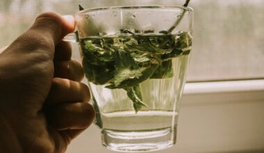 The Herb Linked To Less Stress, And Bloating, Better Driving