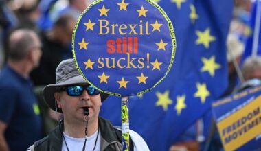 Pro Brexit Majority From 2016 Has Literally Died Out Polling Expert Says