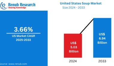 United States Soup Market Size and Forecast 2025–2033