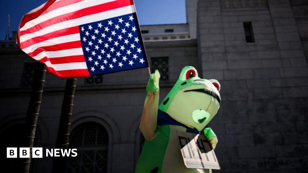 A man in a frog suit faces off with a group of law enforcement in Portland