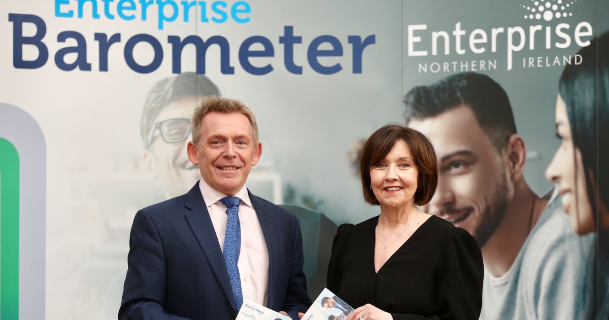 One-in-five Northern Ireland firms saw their business contract this year – The Irish News
