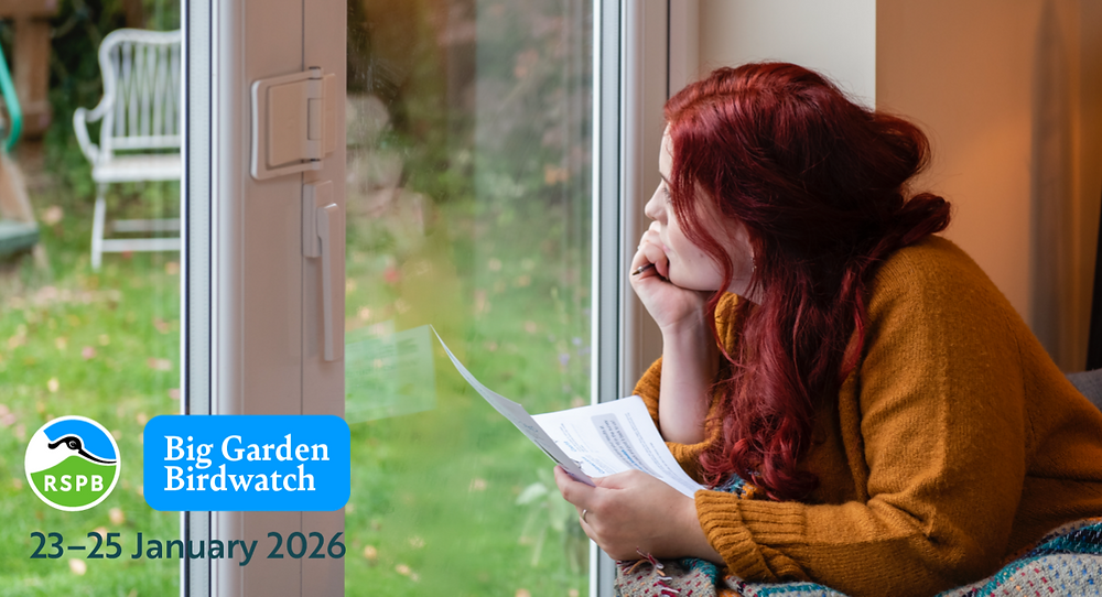 RSPB Big Garden Birdwatch 2026 returns as Northern Ireland urged to make every bird count