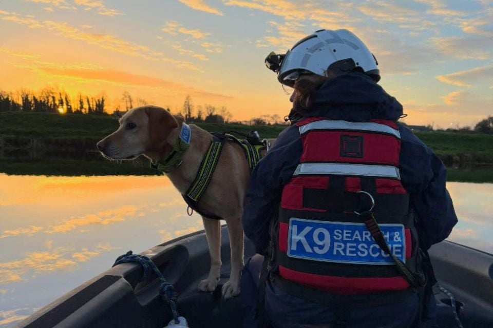 Image by K9 Search and Rescue
