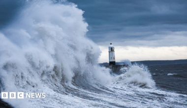 A promo promoting the News Daily newsletter - a graphic of an orange sphere with two concentric crescent shapes around it in a red-orange gradient, like a sound wave.