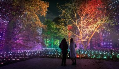 Experts' Pick of Must-Try London Christmas Activities