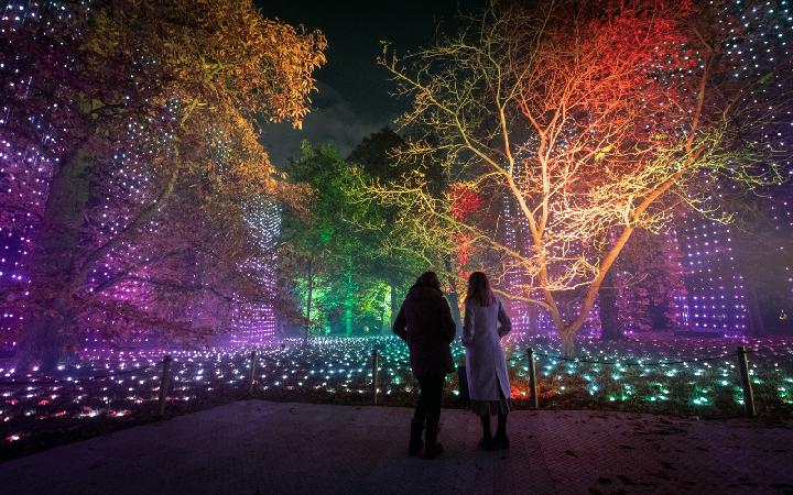 Experts' Pick of Must-Try London Christmas Activities
